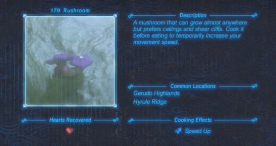 Zelda: Breath of the Wild