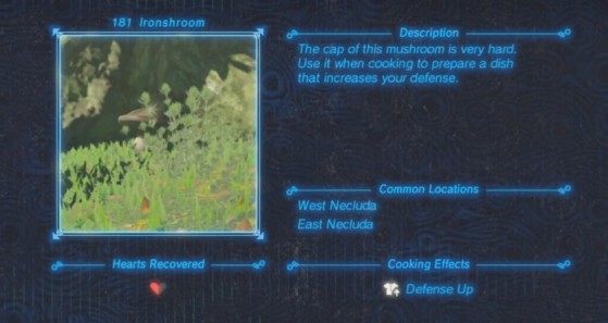 Zelda: Breath of the Wild