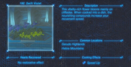 Zelda: Breath of the Wild