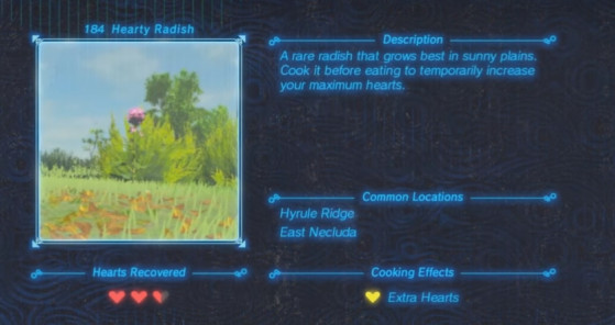 Zelda: Breath of the Wild