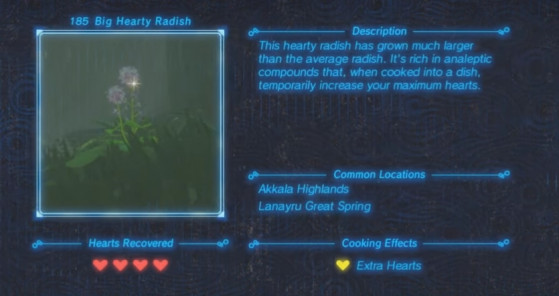 Zelda: Breath of the Wild