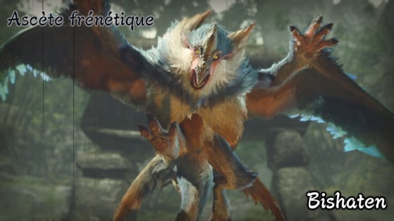 Monster Hunter Rise: How to defeat Bishaten