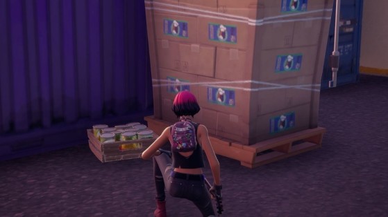Fortnite Week 3 Challenge: Where to find cat food