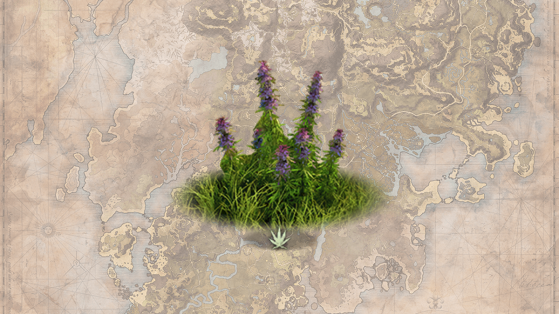 Where to find Silkweed for Silk Threads in New World