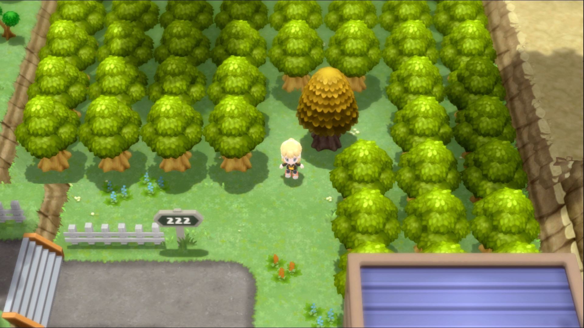 Pokémon Brilliant Diamond & Shining Pearl Honey Tree Guide Millenium