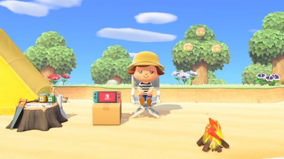 Animal Crossing New Horizons: Get a switch console in-game! - Millenium