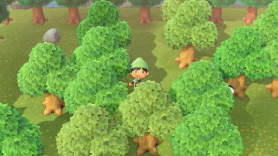 Lost Woods in Animal Crossing: New Horizons - Animal Crossing: New Horizons