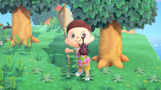 Animal Crossing: New Horizons - All New August Insect Guide