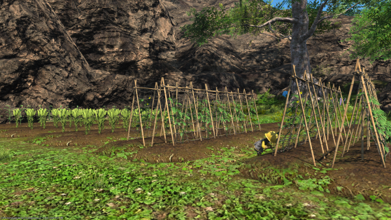 Which seeds should you plant on your Island Sanctuary in FFXIV?