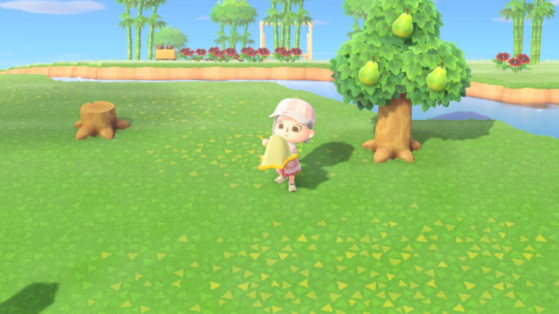Animal Crossing: New Horizons: May insect guide