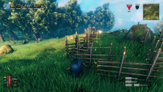 Valheim Guide: How to tame Boars