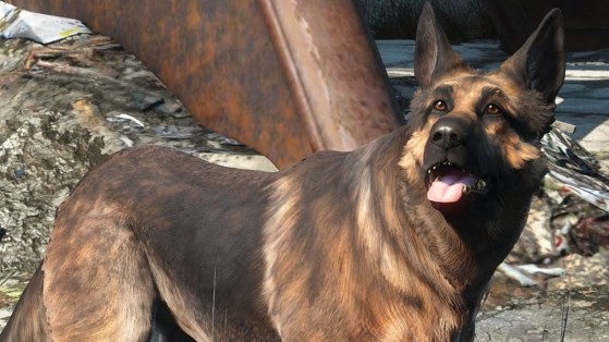 Xbox and Bethesda donate $10,000 in honor of Dogmeat from Fallout 4