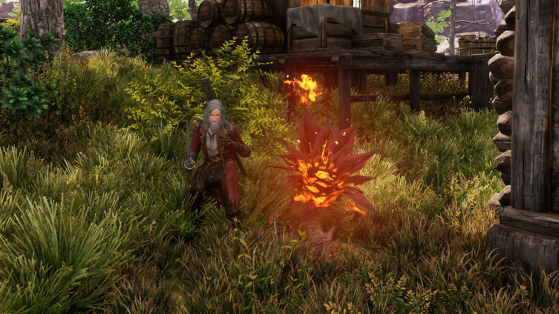 Where to find Dragonglory for Fire Motes & Fire Reagents in New World