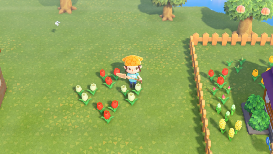 Example of cross-pollination - Animal Crossing: New Horizons