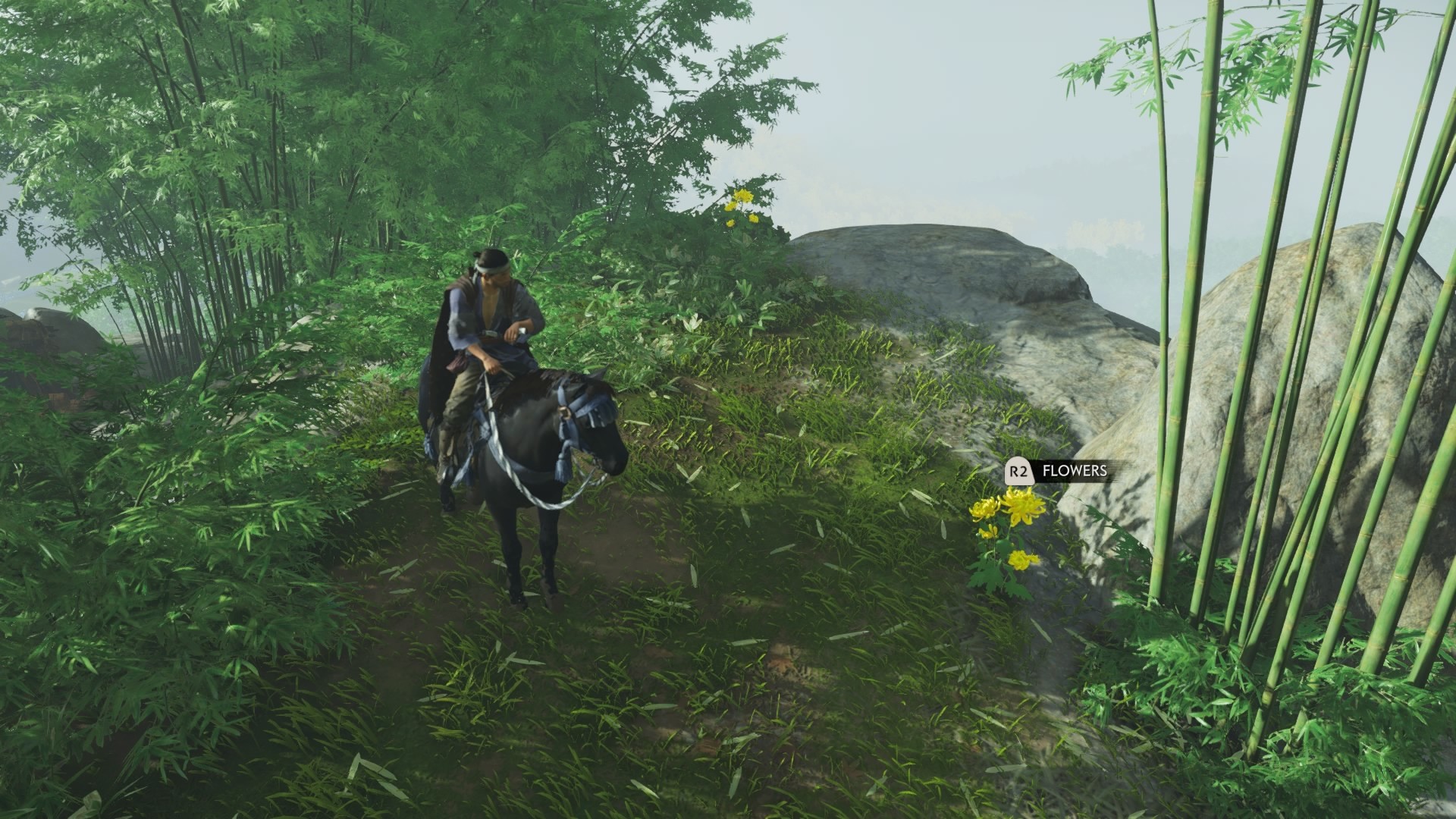 Ghost of Tsushima Dye Flowers Guide and How to Change the Color of