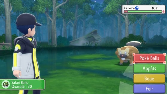 Safari Pokémon Brilliant Diamond & Shining Pearl