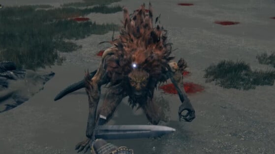 How to clear Castle Morne and kill Leonine in Elden Ring