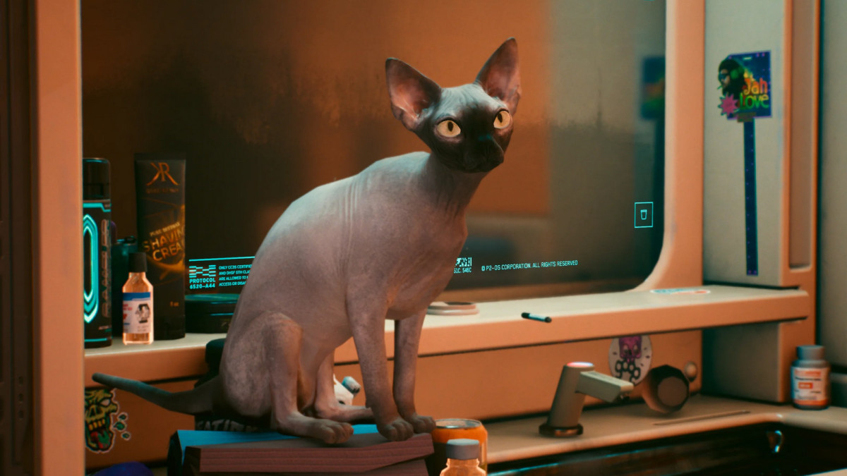 Nibbles Cyberpunk 2077 Position, how to get the cat? Millenium