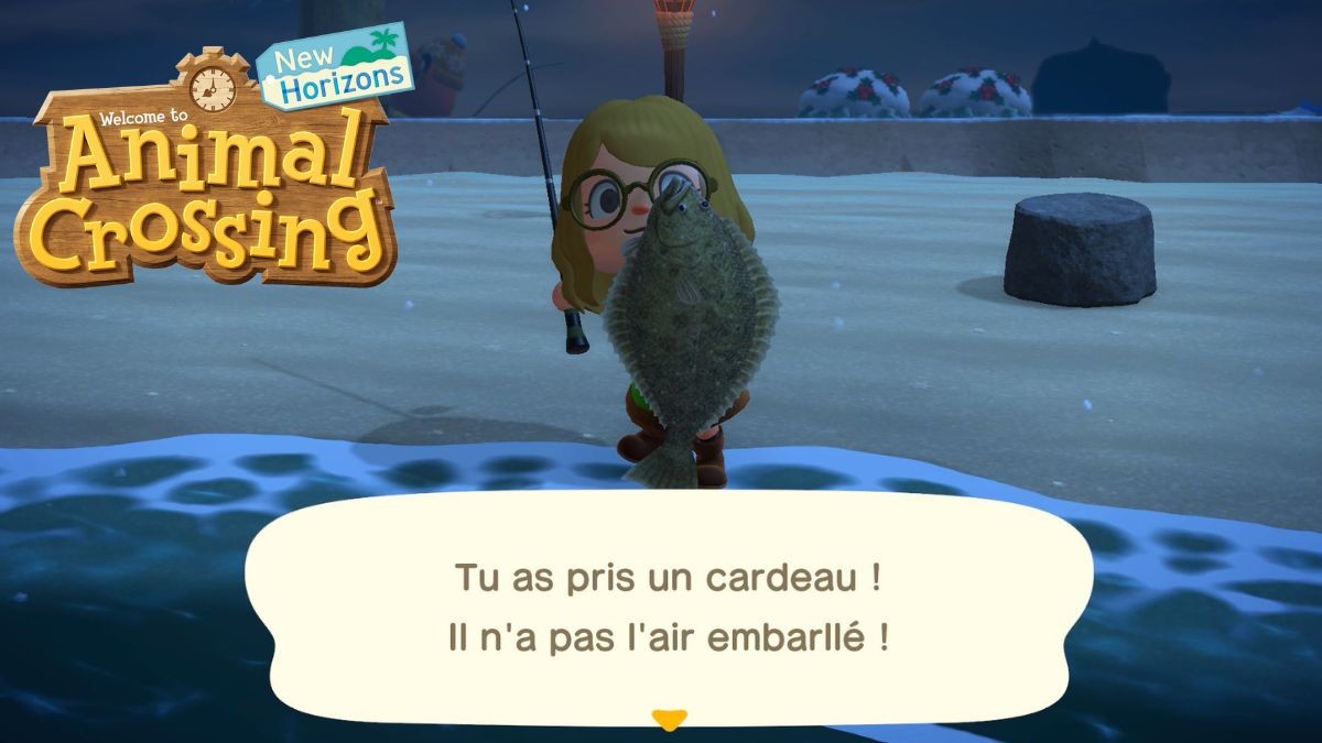 Animal Crossing New Horizons Discover the best valves of the game