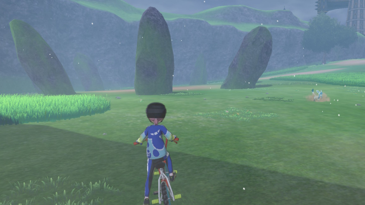 More details about the Wild Area in Pokemon Sword/Shield and shiny