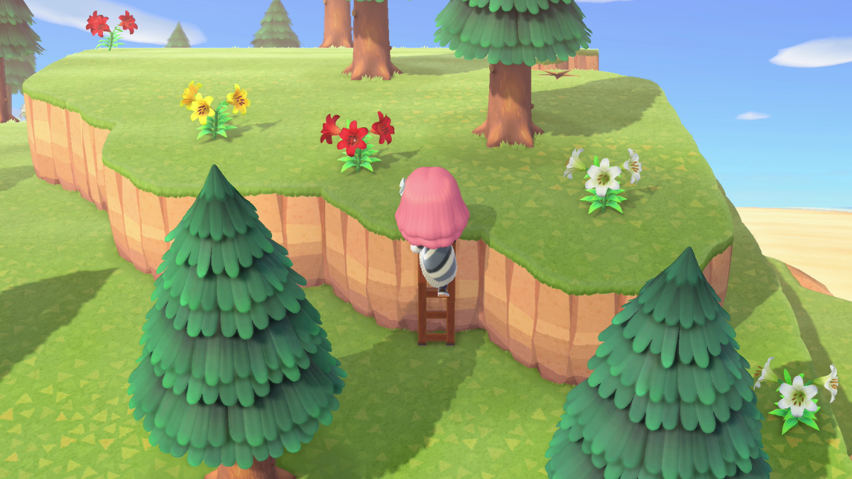 Animal Crossing New Horizons Unlocking the Ladder Millenium