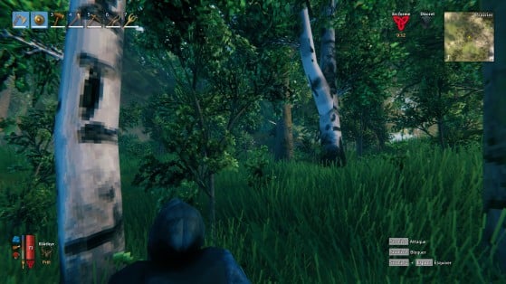 Valheim Guide: How to get Fine Wood