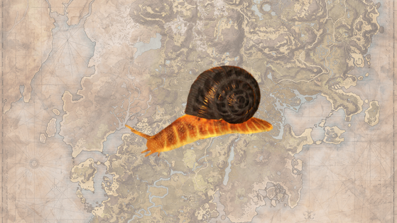Where to find Salamander Snails for Fire Motes & Salamander Slime in New World