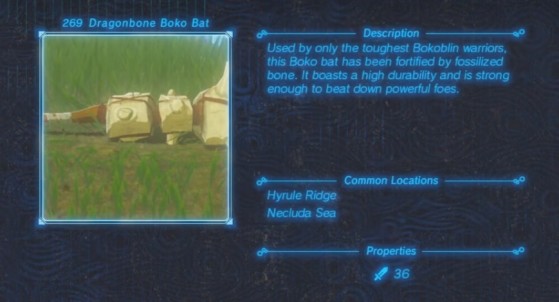 Zelda: Breath of the Wild