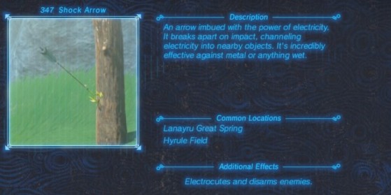 Zelda: Breath of the Wild