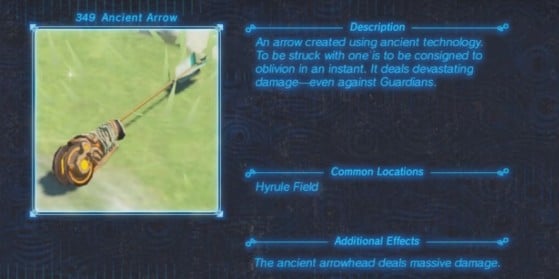 Zelda: Breath of the Wild