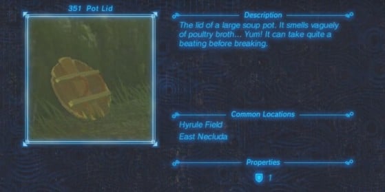 Zelda: Breath of the Wild