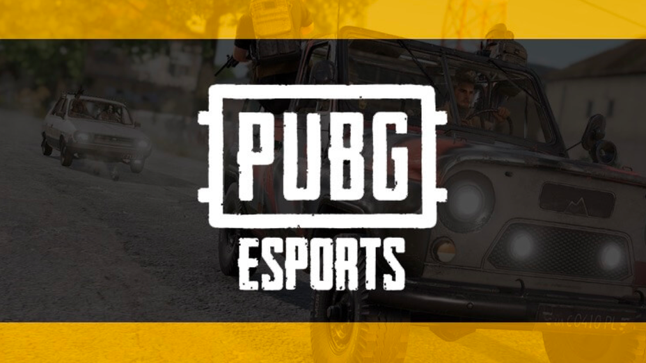 Pubg Esports Everything You Need To Know Millenium